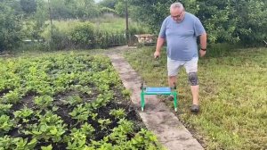 Мне 58 лет. Хотел бросить дачу. Что меня спасло