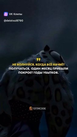 vkclips_20250627065523