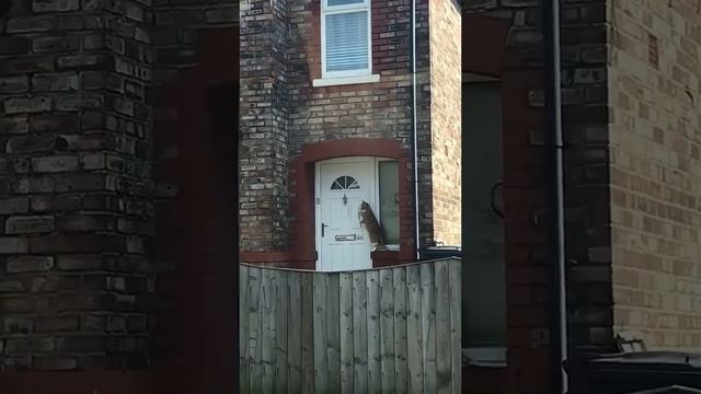 Наташа, открывай