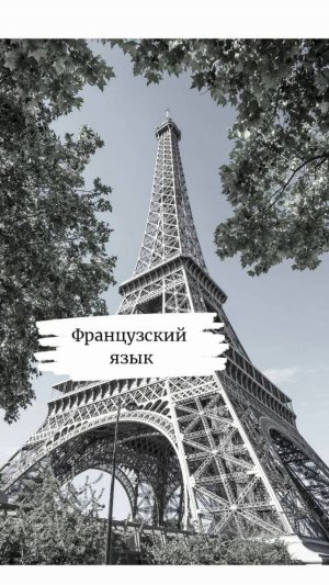 🇷🇺 Русский VS 🇫🇷 Français