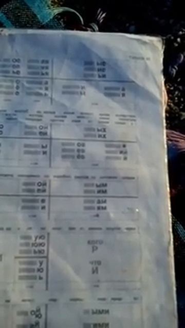 Мария, 8 лет, без ошибок склоняет существительные и прилагательные