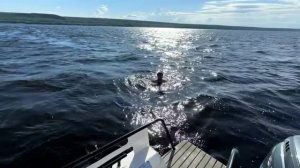 ПУТЕШЕСТВИЕ ПО ВОЛГЕ НА ЛОДКЕ. ПОДВАЛЬСКИЕ ТЕРРАСЫ. Выпуск 6 ФИНАЛ