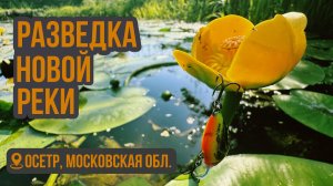 Утрянка на Оке и разведка на реке Осётр.