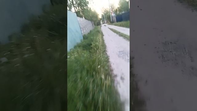 2 часть аварии на дороге