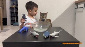 Новые игрушки антистресс Sbabam открываем с Котом Каримом