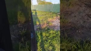 mangal_pechi
