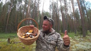 ЖАРА, ОВОДА И КРАСНОГОЛОВИКИ! ЛЕТНИЙ УРОЖАЙ ГРИБОВ 2025 \ ПАРУ ЧАСОВ ДО ГРОЗЫ, СБОР ГРИБОВ В БОРУ!