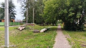 сквер Титова немного подтопило.растения стали ярче после дождя