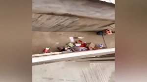 - МОЛОКО ТЕПЕРЬ МОЁ! Приколы с котами! Смешные коты и собаки! С ОЗВУЧКОЙ! Смешные видео про животных