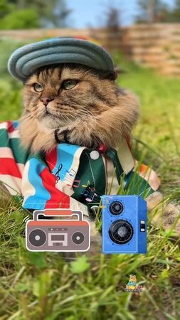 Я уверен, вы легко сможете угадать сериал!😸