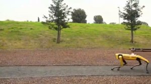 В повозке, запряженной роботом Boston Dynamics