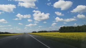 Яровое 2023. 1 часть. Новокузнецк - Яровое на автомобиле