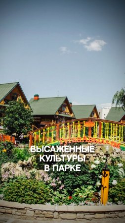 Высаженные культуры в парке