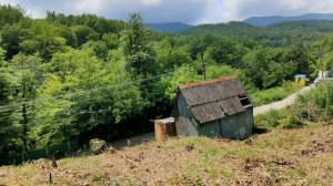 Геленджик снт Пищевик 5 соток у леса