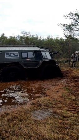 Гибрид выбирается с болота