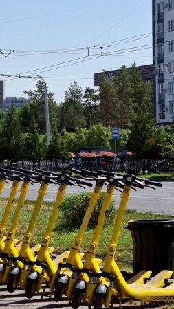 Утро Алматы. 30.06.2025.