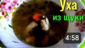 УХА ИЗ ЩУКИ 🐟 СЕКРЕТ ПРОЗРАЧНОГО БУЛЬОНА 😋