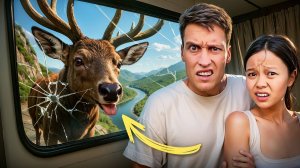 7 Дней в самых секретных местах Китая! Такого мы не ожидали...
2025.06.30