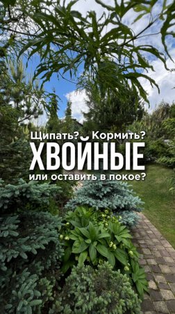 НЕ ДЕЛАЙ ТАК!