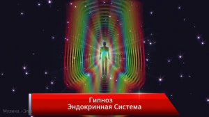 Транс "Эндокринная Система" имеет исцеляющий эффект.