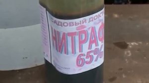 СДЕЛАЙ ЭТО И ВИНОГРАД НЕ БУДЕТ ВЫПРЕВАТЬ