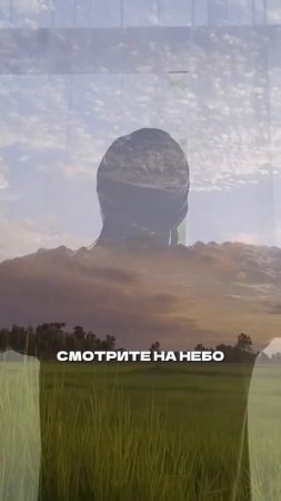 Где ошибаются при выборе участка под строительство дома #строительство #участок #строительсводома