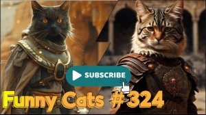 Смешные коты #324