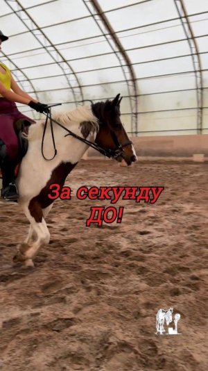 Победа начинается не на боевом поле. Она начинается там, где ты сказал: "Я попробую еще раз!"