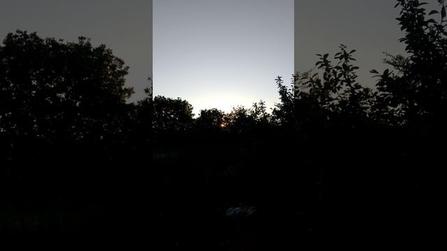 1000022948.mp4
