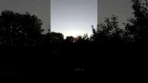 1000022948.mp4