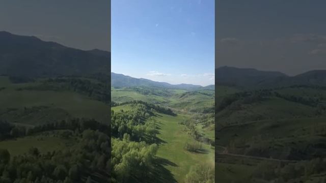 Продаю мараловодческие фермы в Республика Алтай и Алтайский край