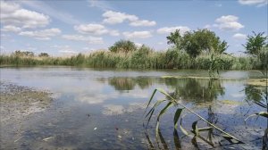 Речка в станице Каргальской АСМР ASMR звуки природы