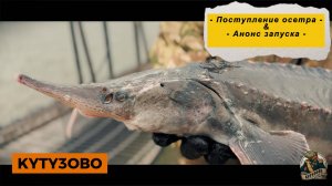 30.06.25 приход осетра  & анонс запуска