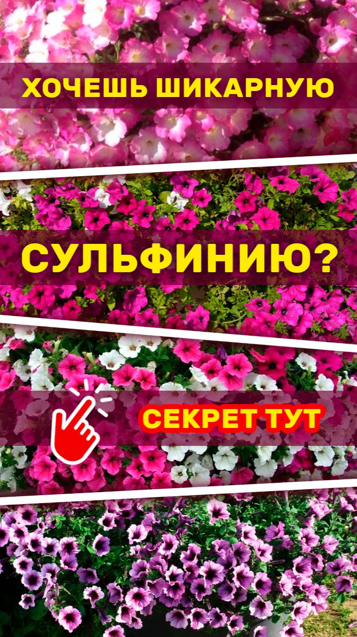 Цветок сурфиния оживает на глазах! 🌺 #ar #flowers #garden #animation #3d  #ecommerce #armarketing