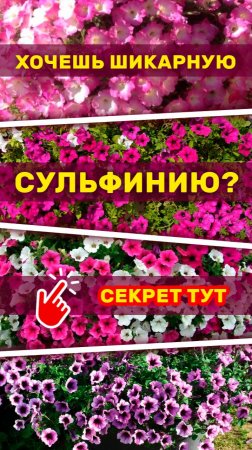 Цветок сурфиния оживает на глазах! 🌺 #ar #flowers #garden #animation #3d  #ecommerce #armarketing