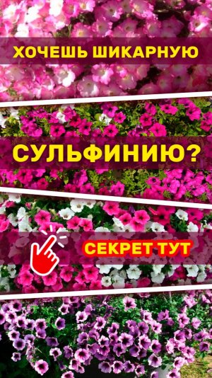Цветок сурфиния оживает на глазах! 🌺 #ar #flowers #garden #animation #3d  #ecommerce #armarketing
