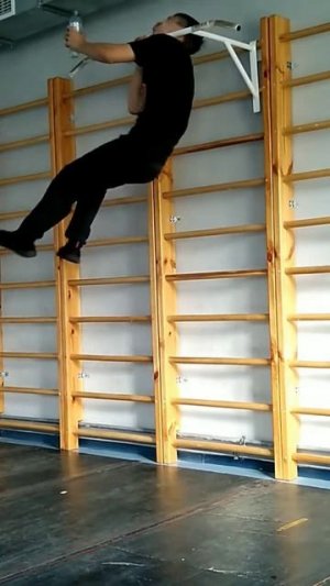 The perfect one arm pull up