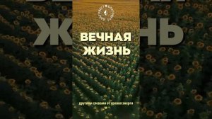 #БлагоВест ✴ ВЕЧНАЯ ЖИЗНЬ