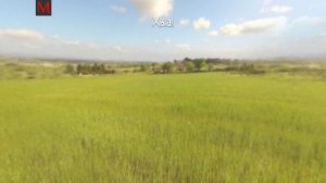 Тот самый баг скулбой раневей.