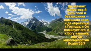 Страницы прошлых дней листаю я...