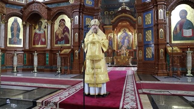 Проповедь митрополита Воронежского и Лискинского Леонтия 15 июня 2025 г. смотреть онлайн