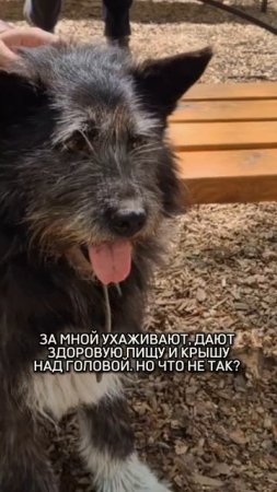 У наших подопечных есть всё...