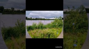 Вечерняя прогулка под дождем ( 30 июня)