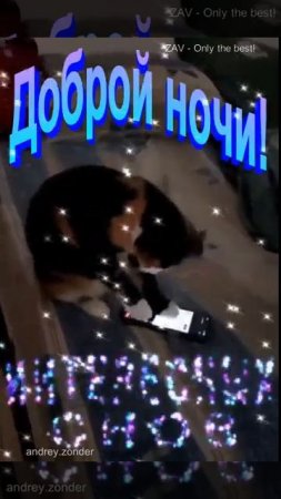 Доброй ночи!) Интересных снов)#добройночи