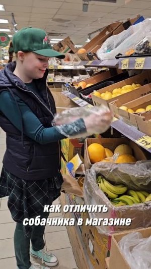Как отличить собачника в магазине
