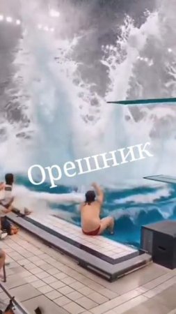 Орешник.