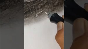 Как нарисовать льва на охоте карандашом