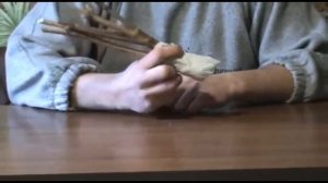 ТАКОГО ТЫ ЕЩЕ НИКОГДА НЕ ВИДЕЛ! Необычный способ выращивания саженцев ВИНОГРАДА из черенков.