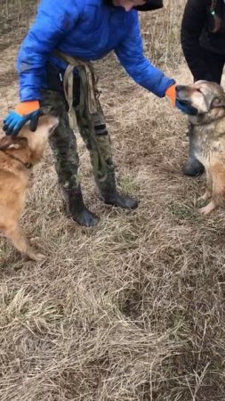 МАТВЕЙКА - мохнатое чудушко… с таким шикарным мехом никакая зима не страшна