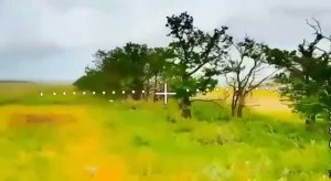 Игра в прятки. 1:0 в нашу пользу